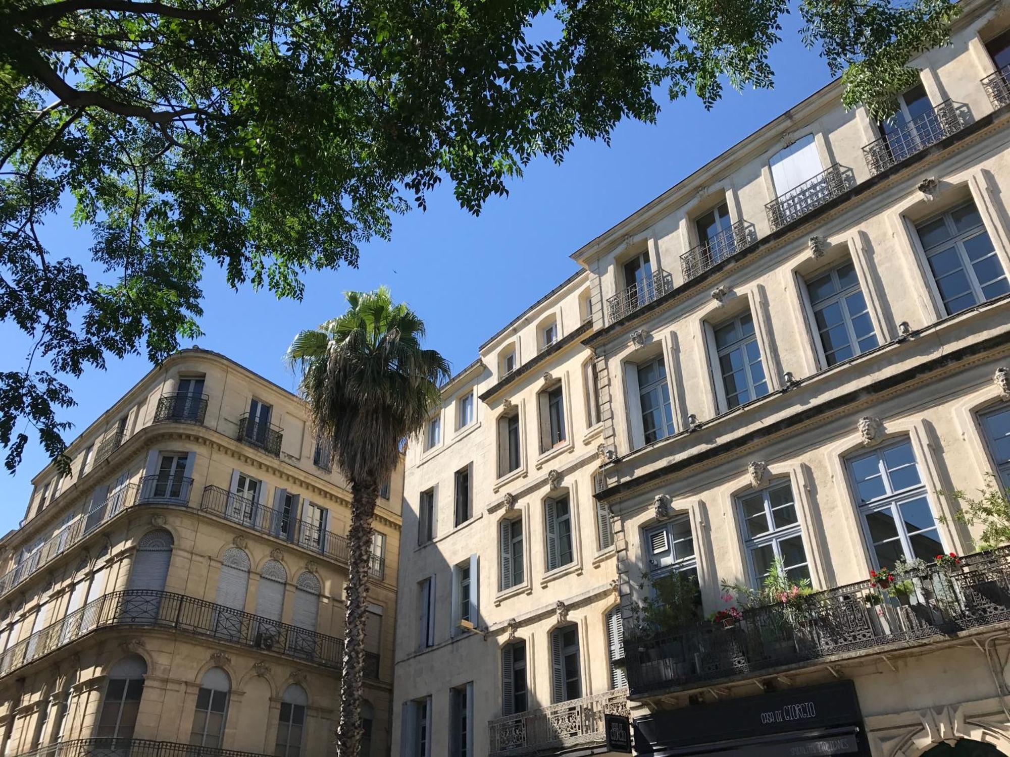 Home Chic Home - La Terrasse Bazille - Netflix Montpellier Exterior photo